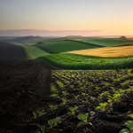 Gecko Fert Langfos crop rotation fertilizer