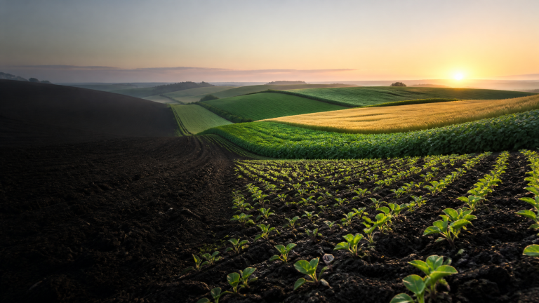 Gecko Fert Langfos crop rotation fertilizer